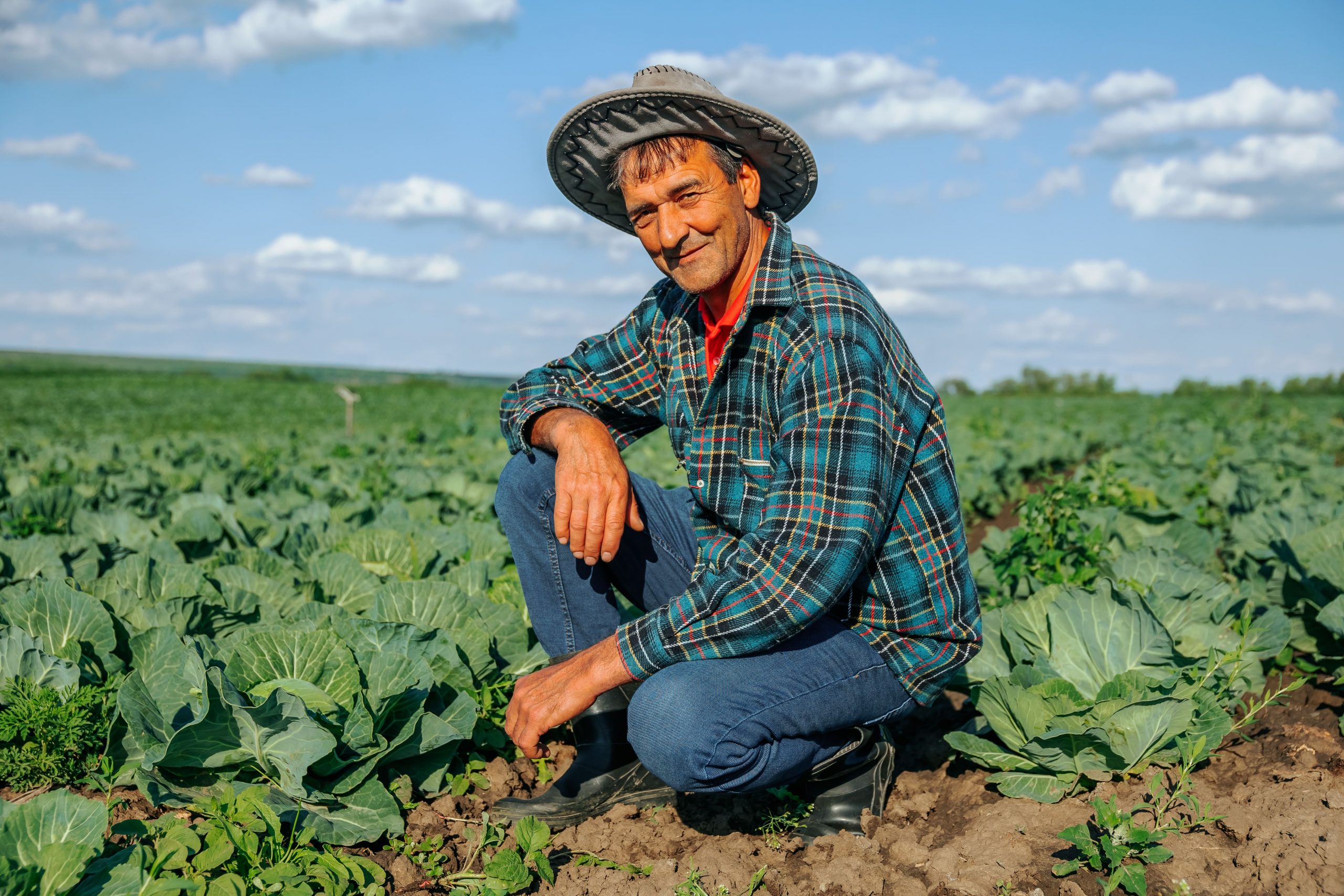 trabajo directo en la parcela para ingresar a Cosechando Soberanía