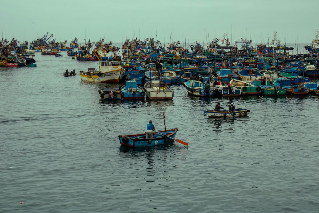 uso responsable del apoyo Bienpesca por pescadores