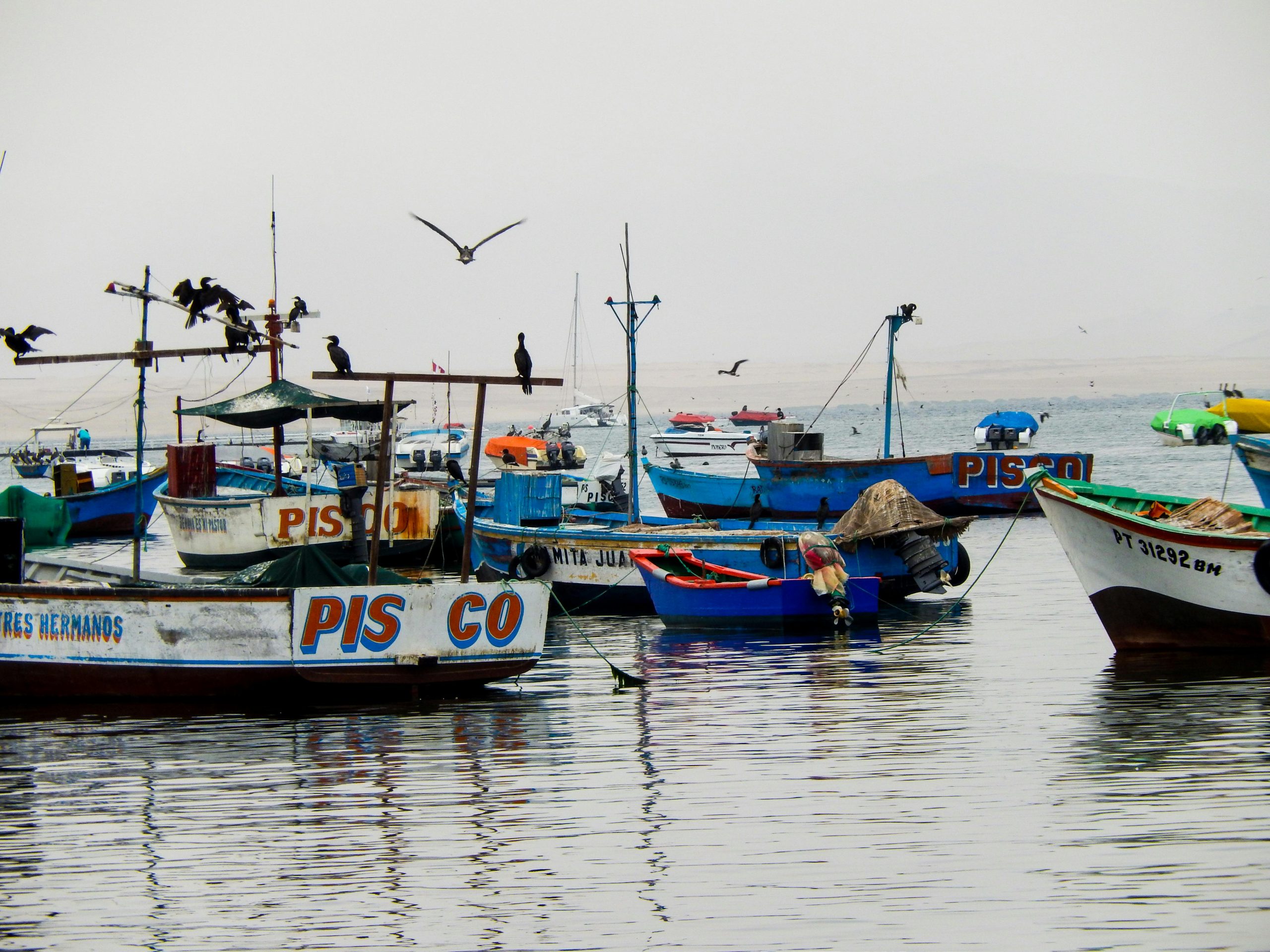 apoyo BIENPESCA para pescadores de pequeña escala