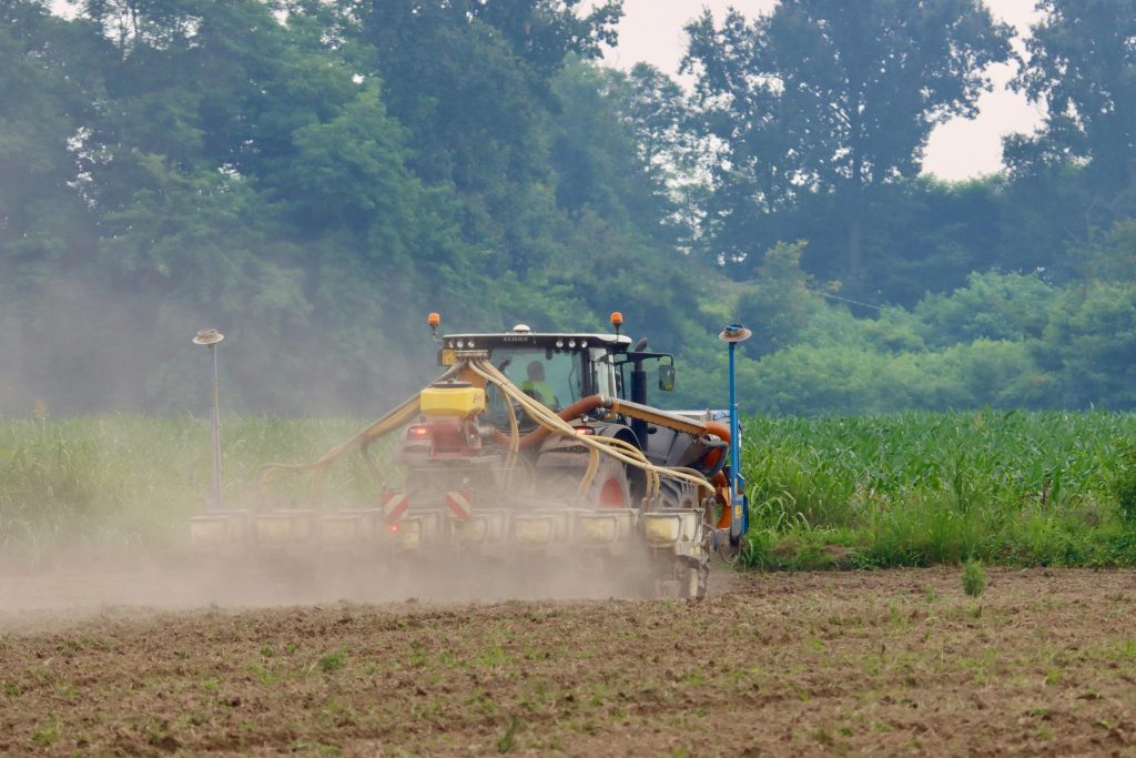 revisión de documentos para acceder a Fertilizantes para el Bienestar