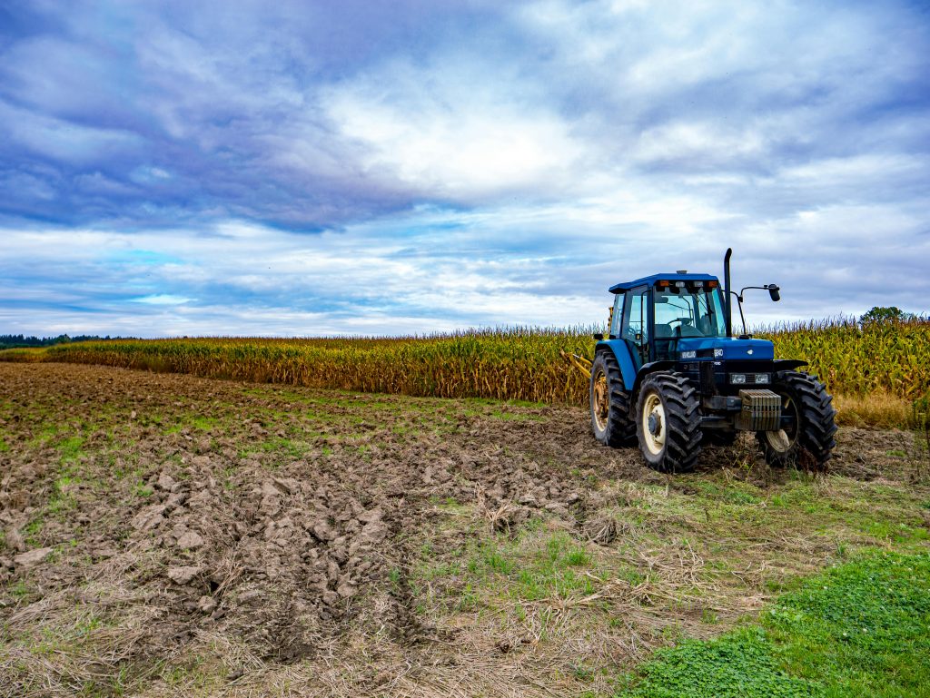 parcela agrícola utilizada en el programa Sembrando Vida