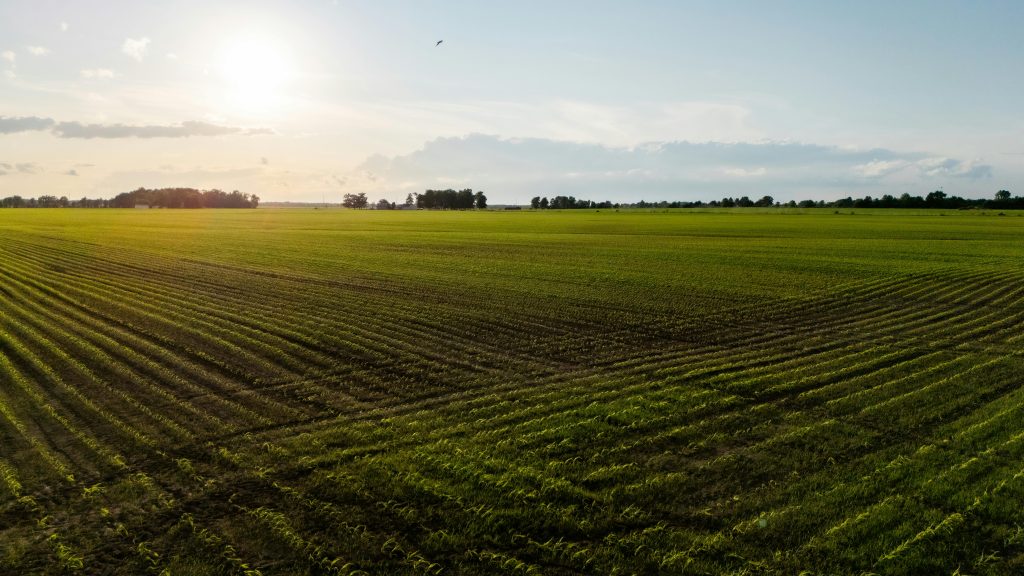 Beneficiario del programa Sembrando Vida revisando su situación con un facilitador.