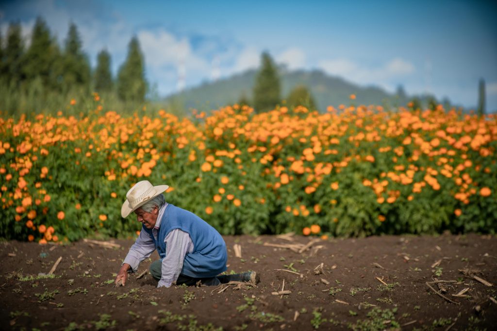 beneficiario ejerciendo sus derechos en Producción para el Bienestar