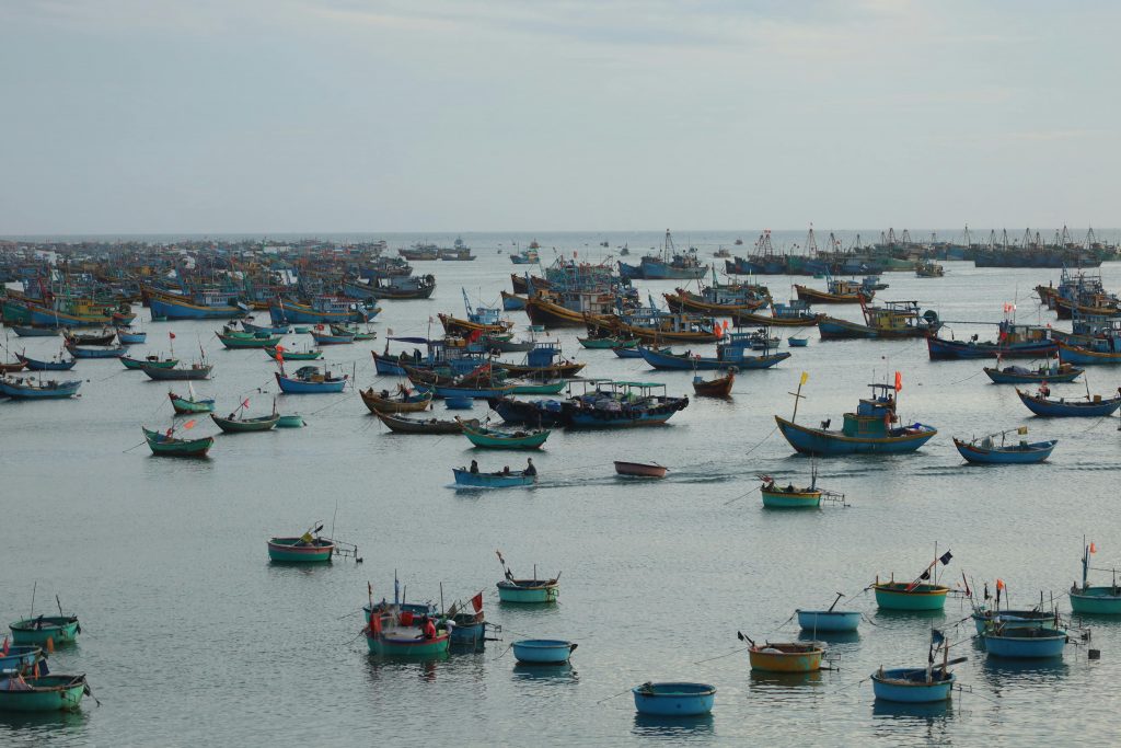 aclaración por falta de pago del apoyo Bienpesca
