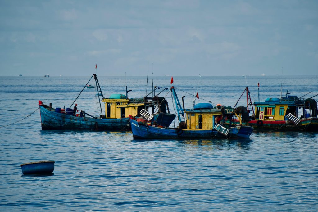 Seguimiento al pago del programa Bienpesca