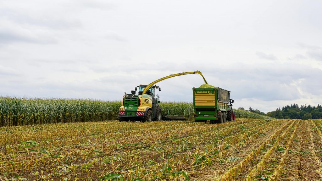 entrega de fertilizantes del programa Fertilizantes para el Bienestar