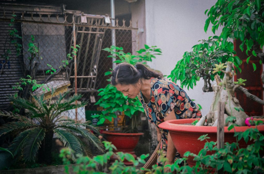 apoyo económico para personas adultas mayores en México