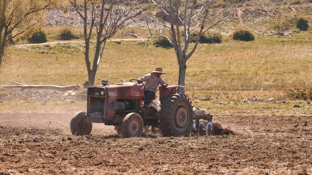 producción agrícola comprobable para acceder a Precios de Garantía
